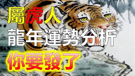 屬虎幸運色|【屬虎 幸運色】屬虎者崛起！2024 絕佳幸運色助你旺全年！